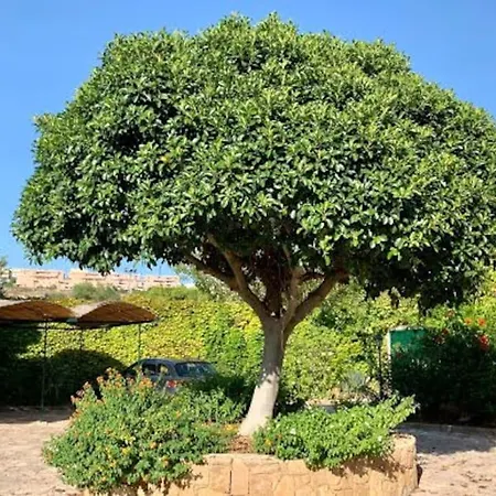 Casa Magnolia 아파트 *