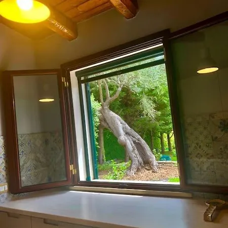 Apartamento Casa Magnolia *